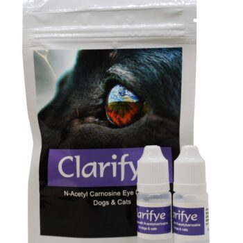 Clarifye Cataract Eye Drops For Dogs With N Acetyl Carnosine