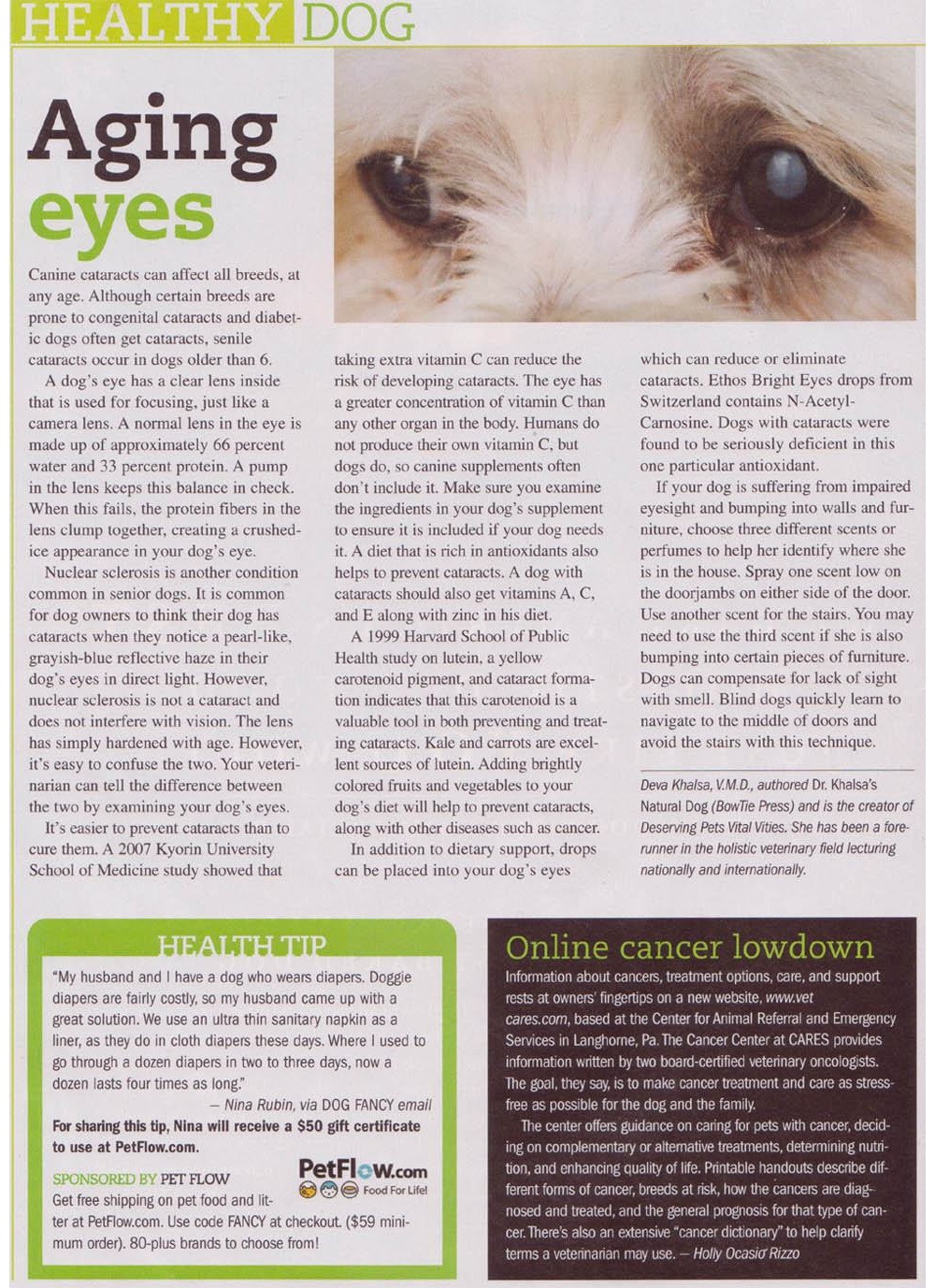 eye-drops-for-dog-cataracts-article-2