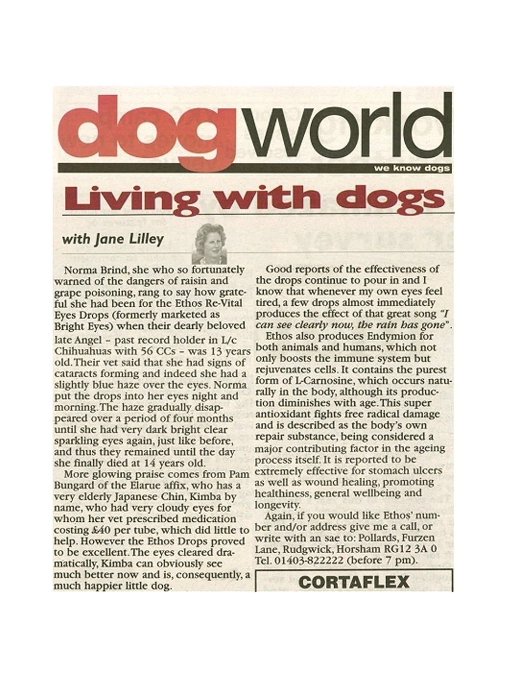 eye-drops-for-dog-cataracts-article-3