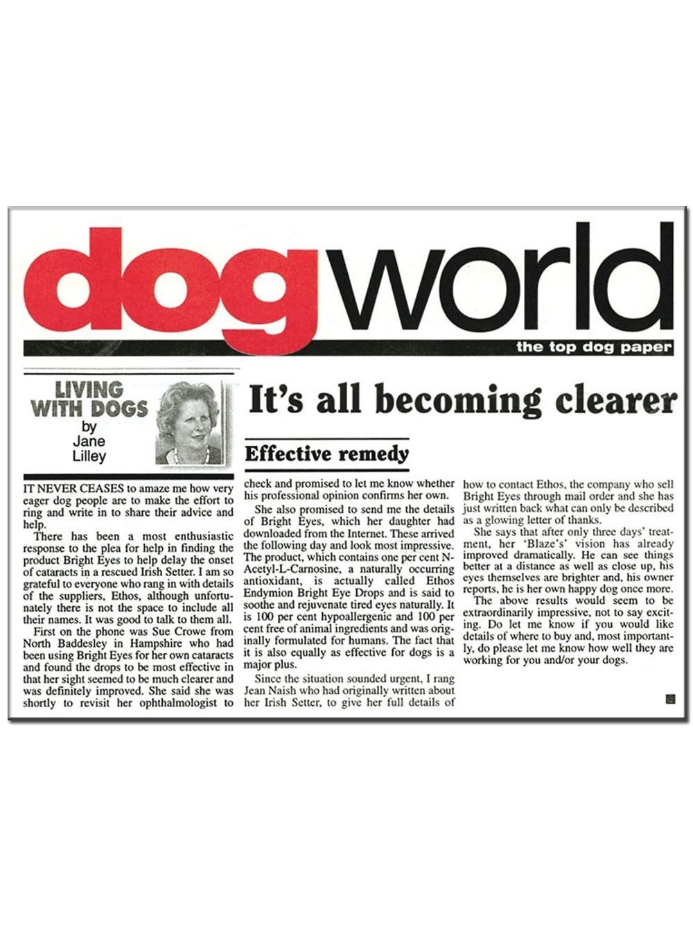 eye-drops-for-dog-cataracts-article